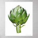 Suche nach artischocken poster Gesundes essen