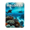 Recherche de plongée magnets Plongeur