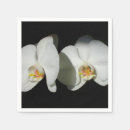 Recherche de orchidée blanche serviettes Fleur
