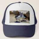 Recherche de pélicans casquettes Oiseau