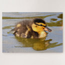 Suche nach ente puzzle Teich
