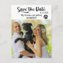 Recherche de mariage drôles cartes postales Mignon