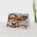 Suche nach bauernhof geburtstag karten Nutztier