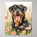 Suche nach rottweiler hunde poster Rotweihhund