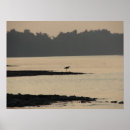 Suche nach mississippi river poster Bäume