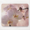 Suche nach rosa orchidee mousepads Orchidaceae