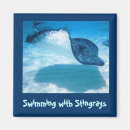 Recherche de scaphandre magnets Natation