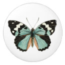 Recherche de papillon turquoise boutons et poignées de porte Insecte