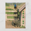 Suche nach landwirtschaft einladungen Bauernhof