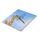 Suche nach bunte libelle fliesen Himmel