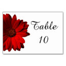 Suche nach gerbera tischkarten Griechen