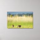 Suche nach tierfamilie leinwandbilder Tiere im wilden