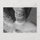 Recherche de chausse Noir et blanc