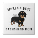 Suche nach dachshund fliesen Welpe