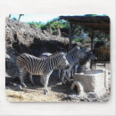 Suche nach zebras mousepads Tiere