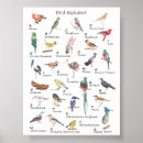 Recherche de m a z posters Pour enfants