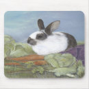 Suche nach häschen mousepads Natur