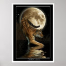 Recherche de bengal tiger posters Tigres