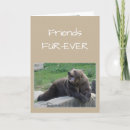 Suche nach pelze karten Freunde