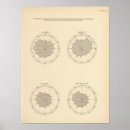 Suche nach diagram poster Lithographed