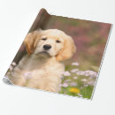 Suche nach golden retriever geschenkpapier Welpe