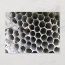 Recherche de ruches cartes postales Abeille