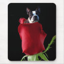 Recherche de happy valentine day Romantique