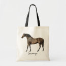 Recherche de equestrian Horse back riding