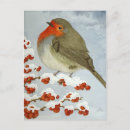 Recherche de robin cartes postales Aquarelle