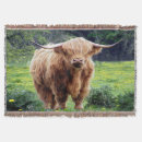 Suche nach bison decken Natur