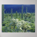 Suche nach pipe organ poster Flora