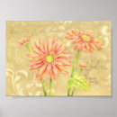 Suche nach gerbera poster Gänseblümchen