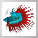 Recherche de splendens de betta art Poisson