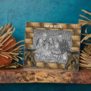 Recherche de cheval plaques Équestre