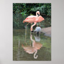 Recherche de flamant art Plumes