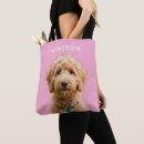 Recherche de chien photographie Pour elle