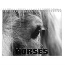 Suche nach pferde kalender Wildtiere