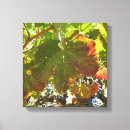 Suche nach weinreben leinwandbilder Trauben