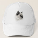 Recherche de chat tigré casquettes Mignon