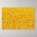 Suche nach gummi ente poster Enten