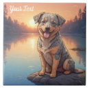 Recherche de bétail carreaux Animal