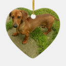 Suche nach würstchen ornamente Hund