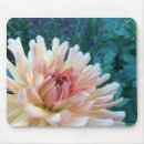 Suche nach dahlien mousepads Orange