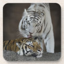 Suche nach weißer tiger untersetzer Groß