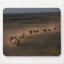 Recherche de cheval sauvage tapis souris Ranch