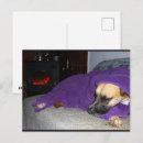 Suche nach kamin postkarten Hund