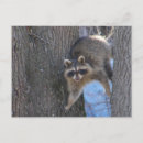 Recherche de furry cartes postales Animaux