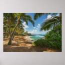 Suche nach bucht poster Tropisch