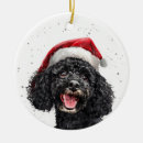 Suche nach pudel alle ornamente Dogs