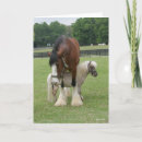 Suche nach clydesdale waren karten Tier